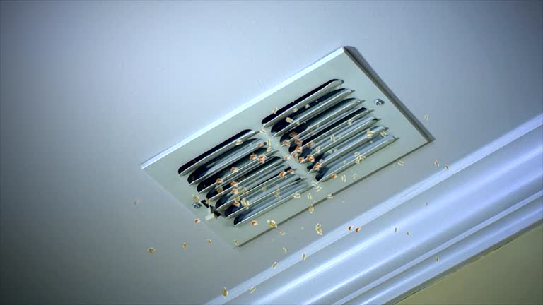 Best Ventilation Cleaning Services  in Norfolk, VA